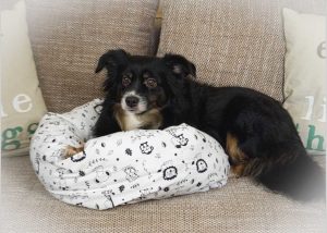 Hundebett selber nähen