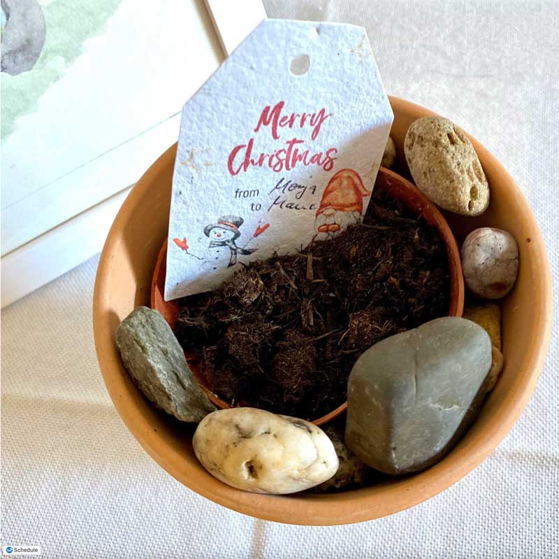 merry-1