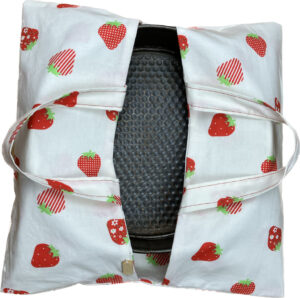 Kuchentransporttasche